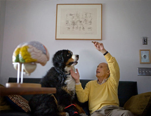 快速响应触控的电话号码轰炸app