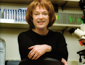 骚扰短信呼叫软件