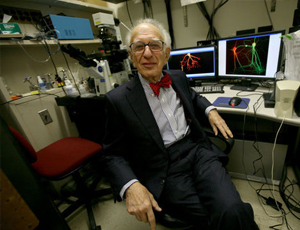 网络短信呼叫软件虚拟号码